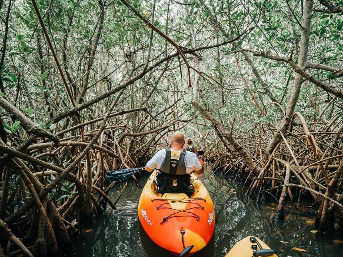 a man riding on the back of a boat