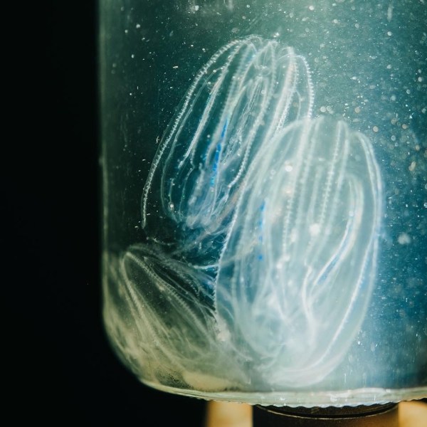 a close up of a bottle