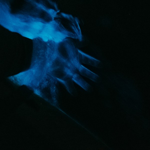 a fish in a dark room