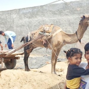 a group of people standing in front of a horse