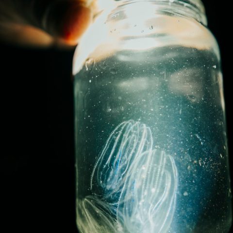 a close up of a bottle