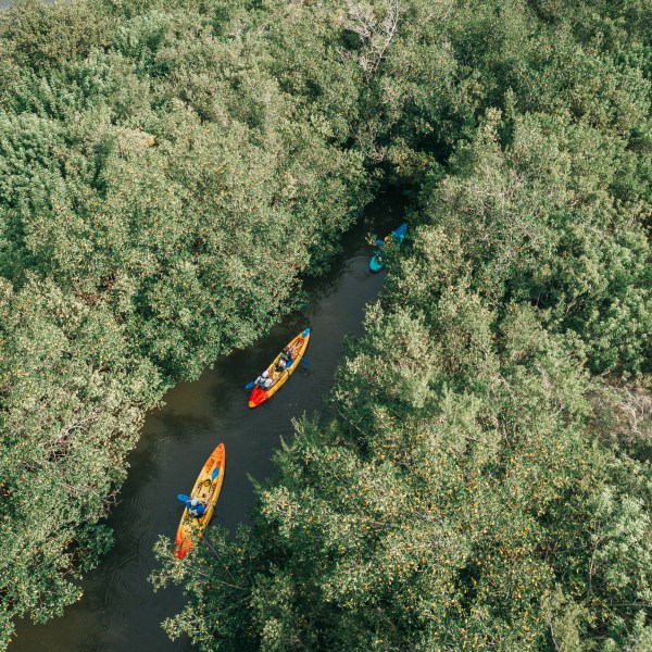 a person riding a surf board in the air