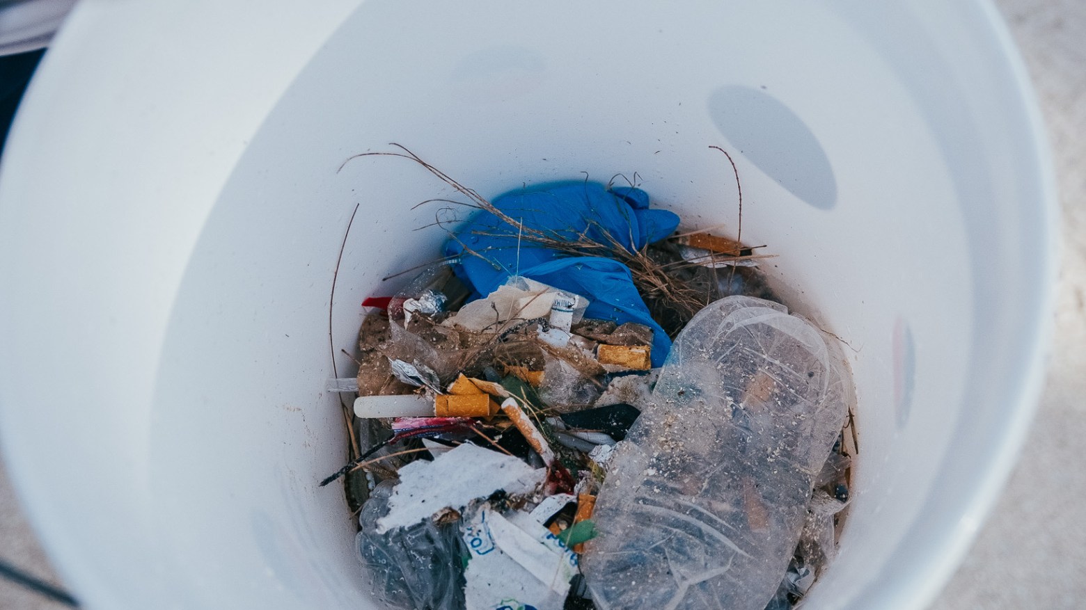 a person holding a plate of food