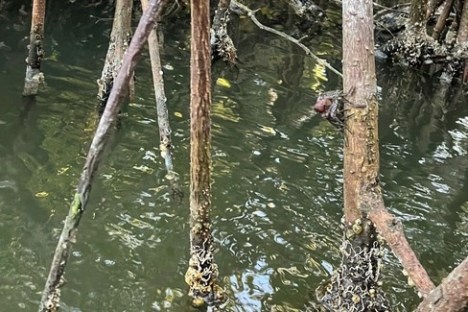 a bird perched on a tree branch