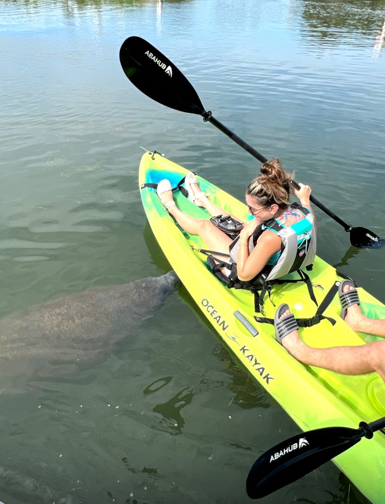 a person rowing a boat in a body of water