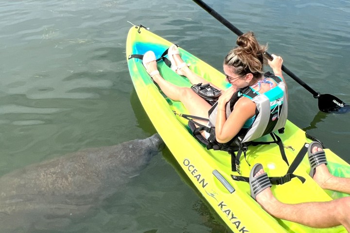 a person rowing a boat in a body of water