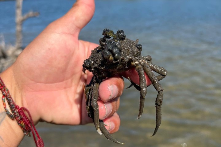 a hand holding a water bottle next to a body of water