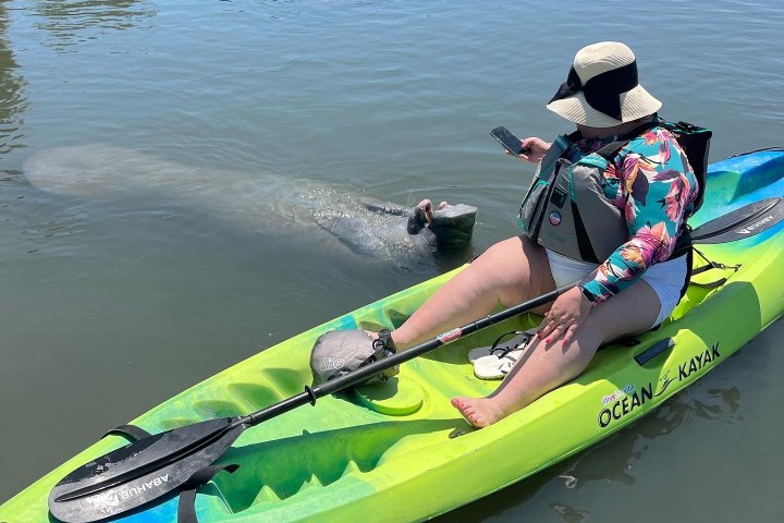 a group of people sitting in a boat on a body of water