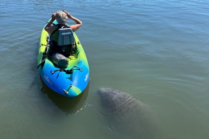 a man riding on the back of a boat in a body of water