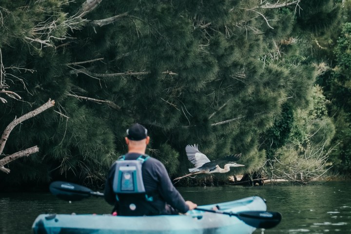 a man riding on the back of a boat in the water