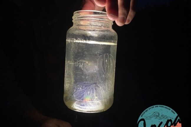 a hand holding a glass of wine