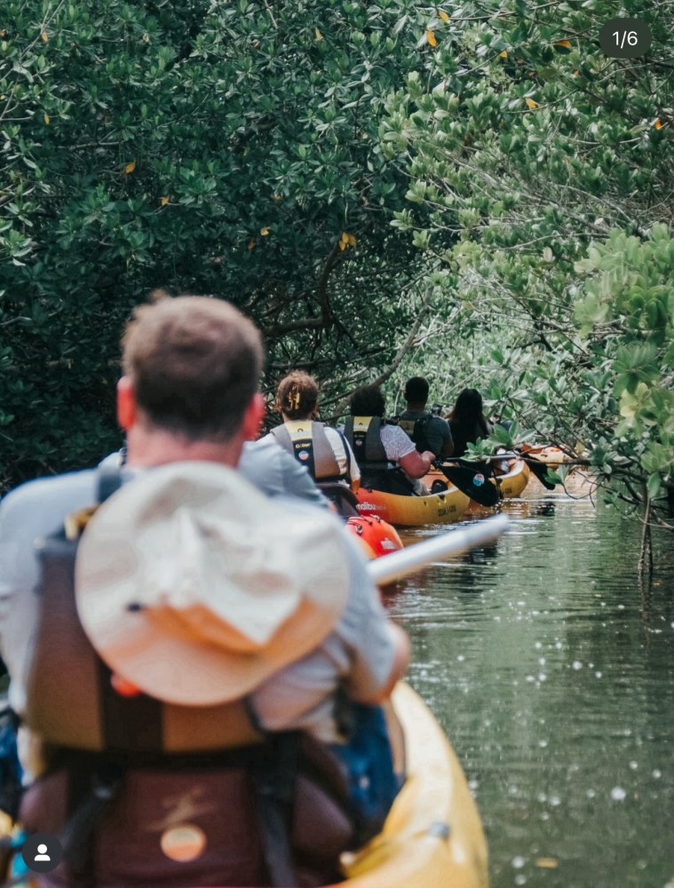 People kayaking through a narrow, tree-covered waterway.