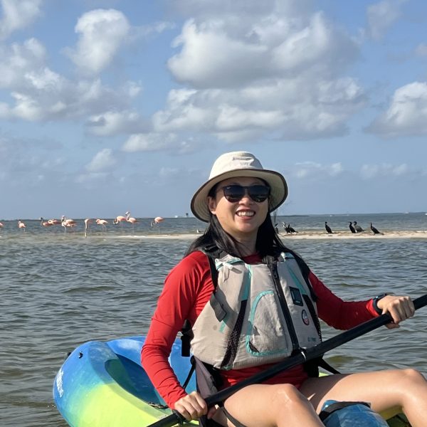 Person kayaking in blue and green kayak wearing hat, with flamingos in the background under blue sky.