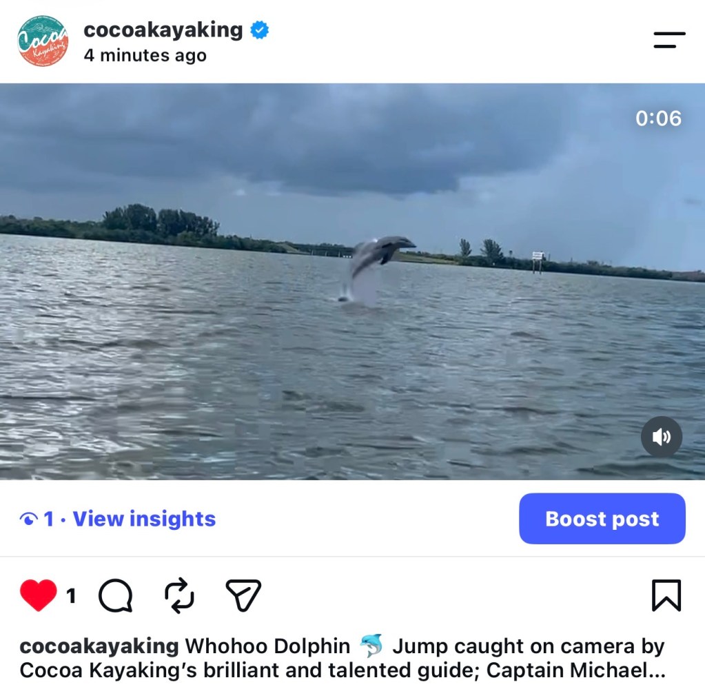 A dolphin jumps out of water in a river setting, seen in a social media post.